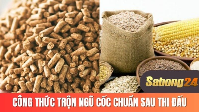 Công thức trộn ngũ cốc chuẩn sau thi đấu
