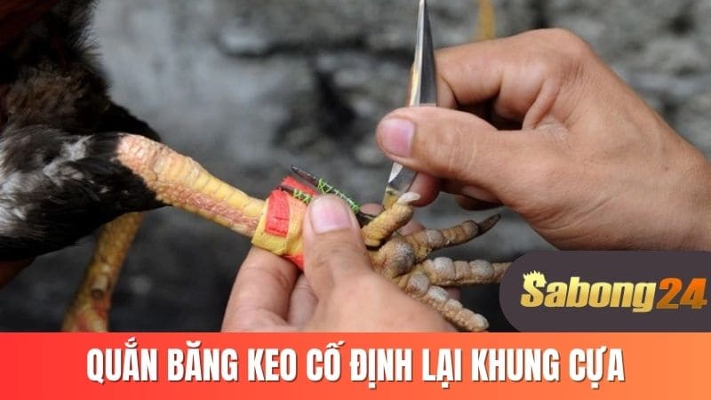 Quắn băng keo cố định lại khung cựa
