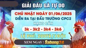 Thông báo giải đấu gà tự do ngày 01/06/2025