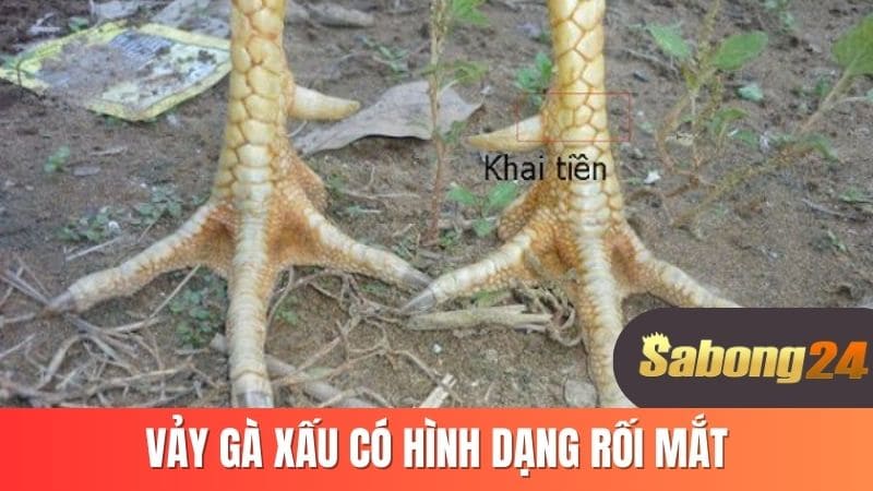 Vảy gà xấu có hình dạng rối mắt