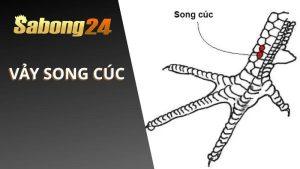 Vảy Song Cúc