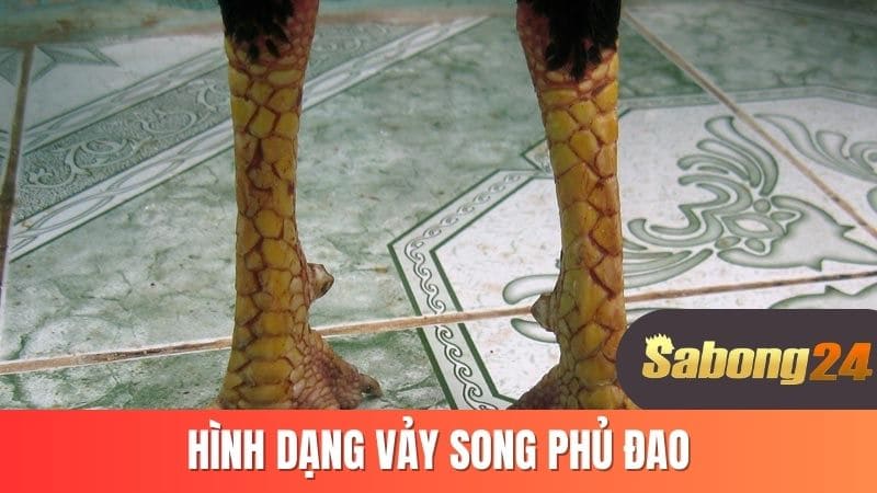 Hình dạng vảy song phủ đao