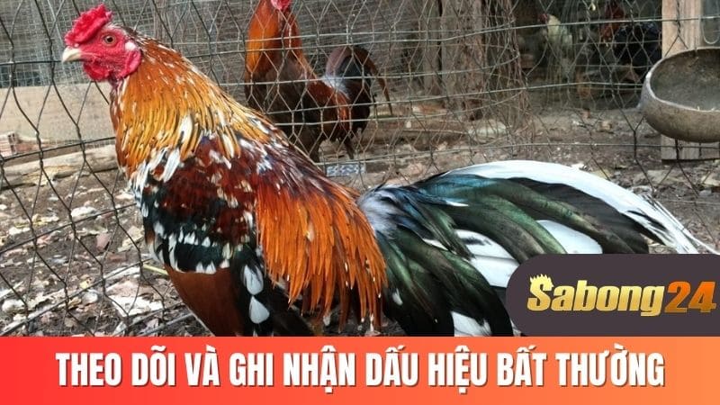 Theo dõi và ghi nhận dấu hiệu bất thường