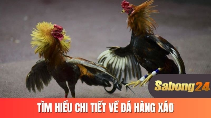 Tìm hiểu chi tiết về đá hàng xáo