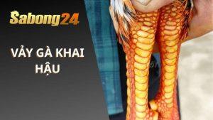 Tìm Hiểu Vảy Gà Khai Hậu