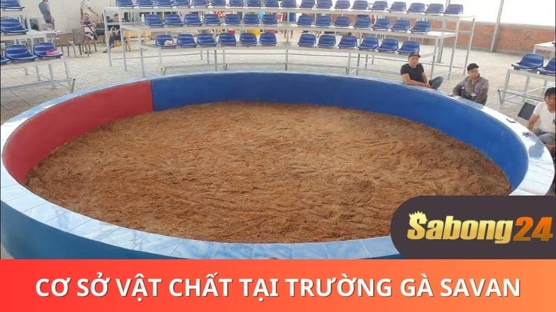 Cơ sở vật chất hiện có tại trường gà SAVAN Cơ sở vật chất hiện có tại trường gà SAVAN