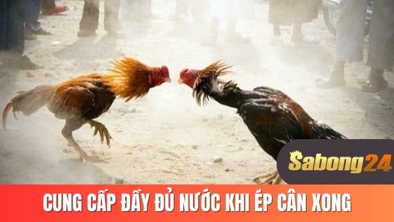Cung cấp đầy đủ nước khi ép cân xong