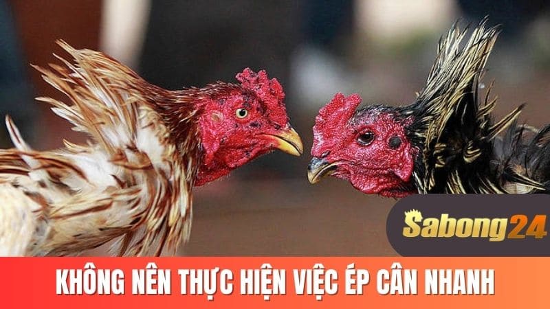 Không nên thực hiện việc ép cân nhanh