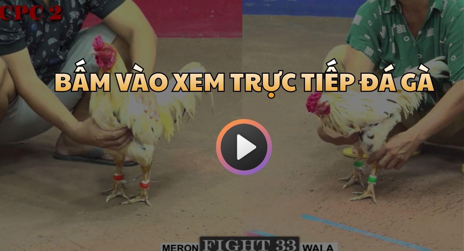 Bấm Vào Xem Trực Tiếp Đá Gà