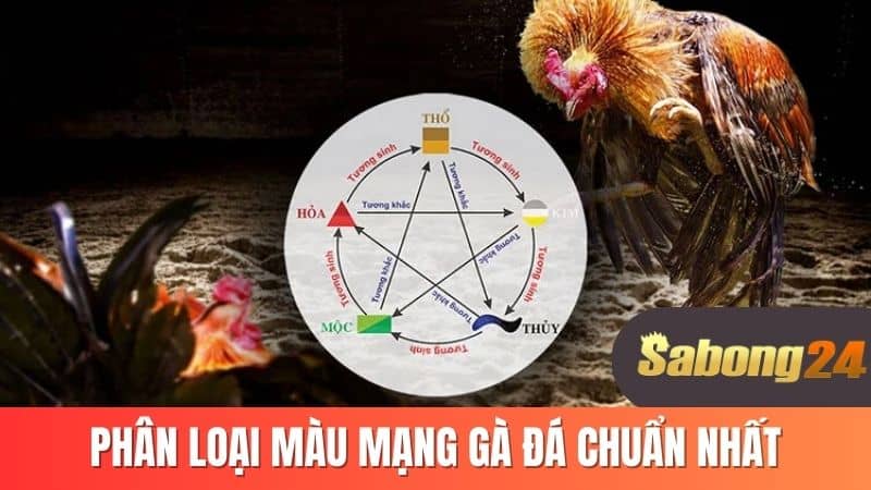 Phân loại màu mạng gà đá chuẩn nhất